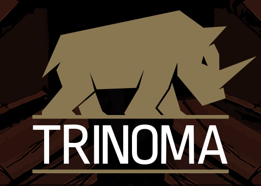 Voir le rédactionnel Web de Trinoma